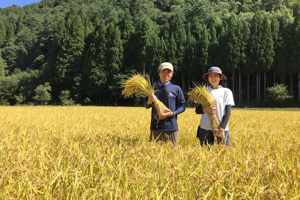 『2025年度の「世界最高米®」原料玄米が決定！今年度は長野県、岐阜県から4品を認定』画像1